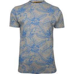Szary T-Shirt (Koszulka) z Niebieskim Nadrukiem -Brave Soul- Męski, Liście, Tukan, Kwiaty TSBRSSS19GIBBONgrey. Szare koszulki męskie Brave Soul, m, z nadrukiem, z tkaniny, casualowe, bez kołnierzyka, bez rękawów. Za 49,00 zł.