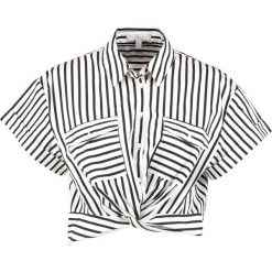 Bluzki damskie: Mavi STRIPED Koszula black