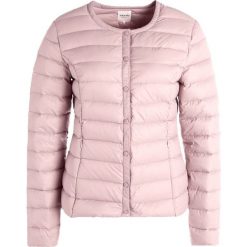 Bomberki damskie: Zalando Essentials DOWN Kurtka puchowa rose