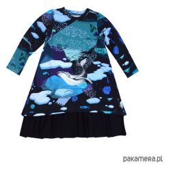 Sukienka salonowa ARCTIC NIGHT. Niebieskie sukienki dziewczęce z falbanami Pakamera, eleganckie. Za 149,00 zł.