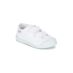 Buty Dziecko Citrouille et Compagnie GLASSIA. Białe trampki chłopięce marki Citrouille et Compagnie. Za 76,30 zł.