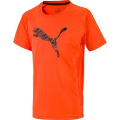 T-shirty chłopięce: T-shirt z okrągłym dekoltem i krótkim rękawem