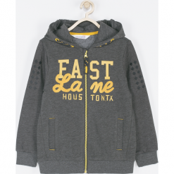 Bluza. Szare bluzy chłopięce rozpinane FAST LANE, z aplikacjami, z bawełny, z kapturem. Za 89,90 zł.