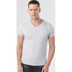 Szara Koszulka Zarintyse. Szare koszulki męskie Born2be, xl, bez wzorów, bez kołnierzyka, bez rękawów. Za 49,99 zł.