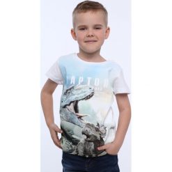 T-shirt chłopięcy dinozaur NDZ4510. T-shirty chłopięce Fasardi, bez wzorów, bez rękawów. Za 39,00 zł.
