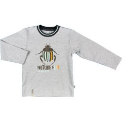 Mmdadak Bluzka Chłopięca Robak 104 Szara. Szare t-shirty chłopięce marki Mmdadak. W wyprzedaży za 18,00 zł.