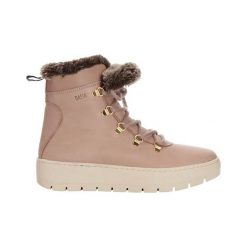 Dasia Buty Spirea różowy female różowy 38. Różowe botki damskie Dasia, ze skóry, klasyczne, na wysokim obcasie, na sznurówki. W wyprzedaży za 519,00 zł.