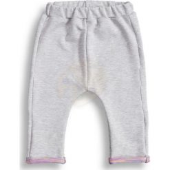 Spodnie niemowlęce Pink szaro-różowe r. 68 (DU-025). Szare spodnie niemowlęce DressUp, bez wzorów. Za 27,07 zł.