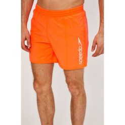 Kąpielówki męskie: Speedo – Kąpielówki