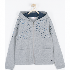 Bluza. Szare bez kategorii marki WISH, z aplikacjami, z długim rękawem, długie, z kapturem. Za 99,90 zł.