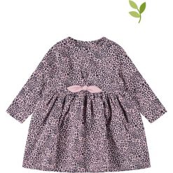 Sukienka "Tiana" w kolorze czarno-jasnoróżowym. Różowe sukienki niemowlęce z bawełny, mini. W wyprzedaży za 35,95 zł.