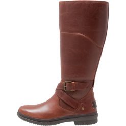Buty zimowe damskie: UGG EVANNA Śniegowce dark brown