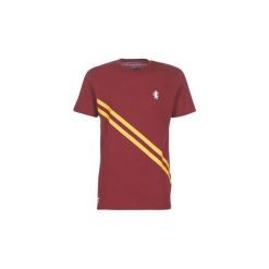 T-shirty z krótkim rękawem Vans HARRY POTTER GRYFFINDOR SS. Czerwone t-shirty męskie Vans, s, bez wzorów, bez kołnierzyka, krótkie. Za 179,00 zł.