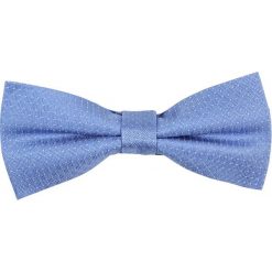 Muchy męskie: CK Calvin Klein BOW TIE Mucha blue