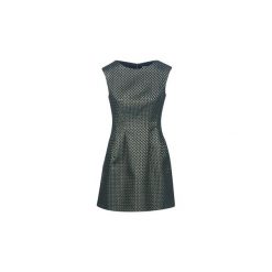 Sukienki krótkie Molly Bracken POKIN. Żółte sukienki damskie Molly Bracken, xl, bez wzorów, bez kołnierzyka, z krótkim rękawem, krótkie, mini. Za 279,30 zł.