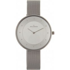 Zegarki damskie: Zegarek SKAGEN – Gitte SKW2140 Silver/Steel/Silver/Steel