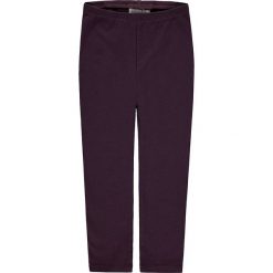 Legginsy w kolorze fioletowym. Fioletowe legginsy dziewczęce marki Kanz, z bawełny. W wyprzedaży za 17,95 zł.