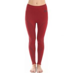 Bryczesy damskie: Brubeck Spodnie damskie Thermo burgundowe r. XL (LE10420)