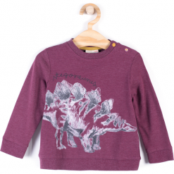 Koszulka. Czerwone t-shirty chłopięce z długim rękawem STEGOSAURUS, z bawełny. Za 29,90 zł.