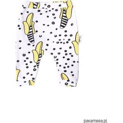 Spodnie niemowlęce: Spodnie bananas