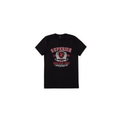 T-shirt męski. Czarne t-shirty męskie TXM, m, bez wzorów, bez kołnierzyka. Za 24,99 zł.