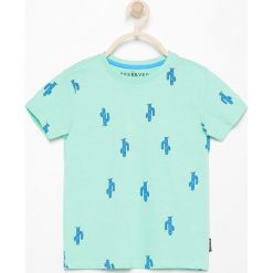 T-shirty chłopięce: T-shirt w kaktusy – Zielony