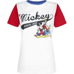 Bluzki damskie: Myszka Miki i Minnie Since 1888 Koszulka damska wielokolorowy
