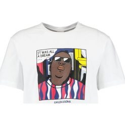 T-shirty męskie: Cayler & Sons BIGGENSTEIN Tshirt z nadrukiem white