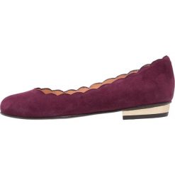 Baleriny damskie lakierowane: Brenda Zaro CARLA Baleriny bordeaux/eclat ex oxido