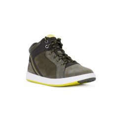 Buty Dziecko Timberland TREESPROUT. Szare trampki chłopięce marki Timberland. Za 303,41 zł.