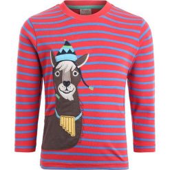 T-shirty chłopięce: Frugi KIDS ZGREEN DISCOVERY APPLIQUE Bluzka z długim rękawem tomato bold