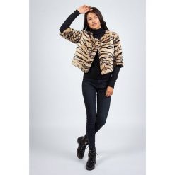 Kurtka przejściowa w kolorze beżowym. Brązowe kurtki damskie Snowie Collection, xl, bez wzorów, krótkie, bez kaptura. W wyprzedaży za 129,95 zł.