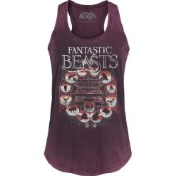 Fantastic Beasts Magical Congress Top damski bordowy. Czerwone bluzki damskie marki Fantastic Beasts, m, z nadrukiem, bez kołnierzyka, bez rękawów. Za 79,90 zł.