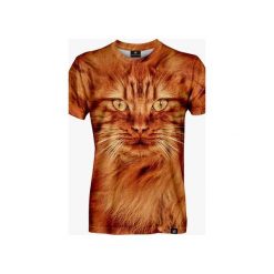Cat from Cheshire men's t-shirt. Pomarańczowe t-shirty męskie marki Mars from venus, s, bez wzorów, bez kołnierzyka. Za 101,40 zł.