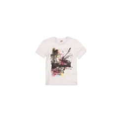 Odzież chłopięca: t-shirt krótki rękaw chłopięcy gładki, z nadrukiem