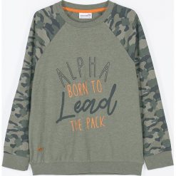 Coccodrillo - Longsleeve dziecięcy 128-164 cm. Żółte t-shirty chłopięce COCCODRILLO, z nadrukiem, z dzianiny, z długim rękawem. Za 59,90 zł.