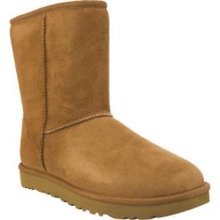 UGG CLASSIC SHORT II CHESTNUT. Żółte śniegowce damskie Molly.pl, na zimę, z wełny, bez zapięcia. Za 939,00 zł.