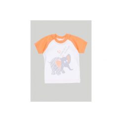 T-shirty męskie: t-shirt z printem