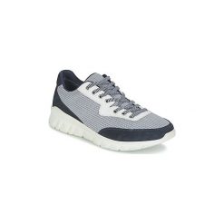 Trampki męskie: Buty Paul Joe REPPER
