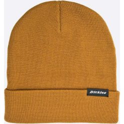 Czapki męskie: Dickies – Czapka