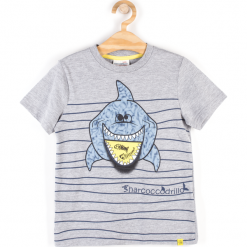 T-shirty chłopięce: Koszulka