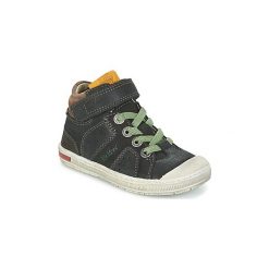 Trampki chłopięce: Buty Dziecko Kickers IGUANE