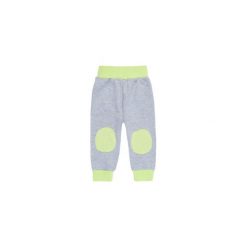 Spodnie niemowlęce chłopięce sportowe. Szare spodnie niemowlęce marki TXM. Za 15,99 zł.