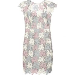 Sukienki: Paper Dolls Sukienka koktajlowa cream/grey