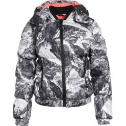Superdry Kurtka snowboardowa grey. Szare kurtki damskie marki Superdry, l, z poliesteru, narciarskie. W wyprzedaży za 799,20 zł.