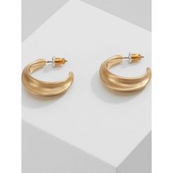 Kolczyki damskie: Pilgrim NORENE Kolczyki goldcoloured