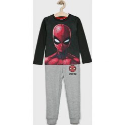 Blukids - Dres dziecięcy 98-134 cm. Szare spodnie chłopięce Blukids, z nadrukiem, z bawełny, długie. Za 99,90 zł.