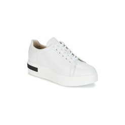 Buty Sweet Lemon BISTRO. Białe trampki i tenisówki damskie Sweet Lemon, bez wzorów, bez zapięcia. Za 455,20 zł.