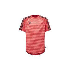 T-shirty z krótkim rękawem Dziecko adidas Koszulka Tango Graphic. Czerwone bluzki dziewczęce z krótkim rękawem Adidas. Za 129,00 zł.