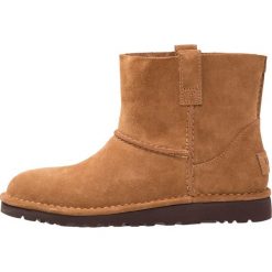 Botki damskie lity: UGG CLASSIC UNLINED MINI Botki chestnut